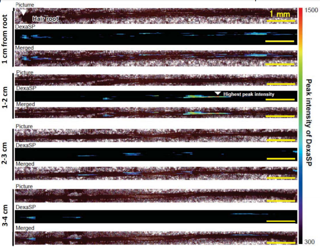 1614130615985034.png 12.png