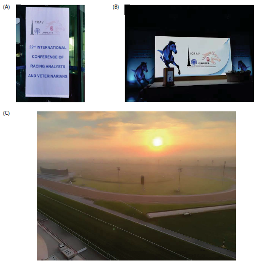 1614130646215686.png 13.png