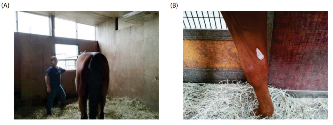 1614130673253882.png 14.png