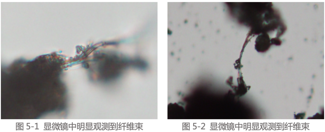 1614301507474363.png 4.png