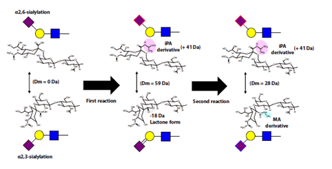 1614648946431358.png 1.png