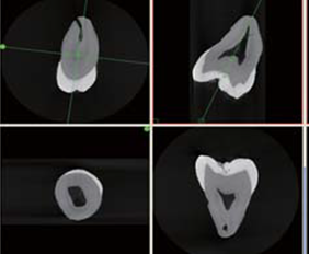 1615168121662920.png 9.png