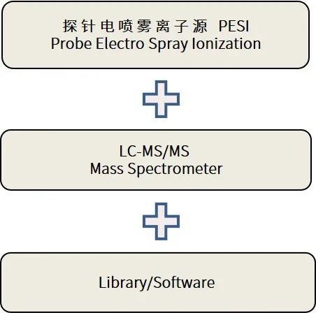 1617860136731542.jpg 3.jpg