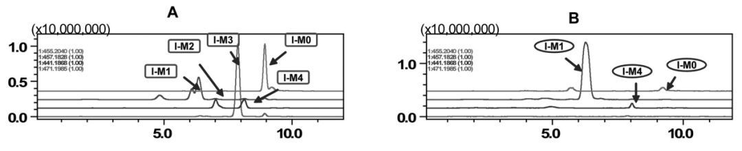 1621820066772538.png 6.png