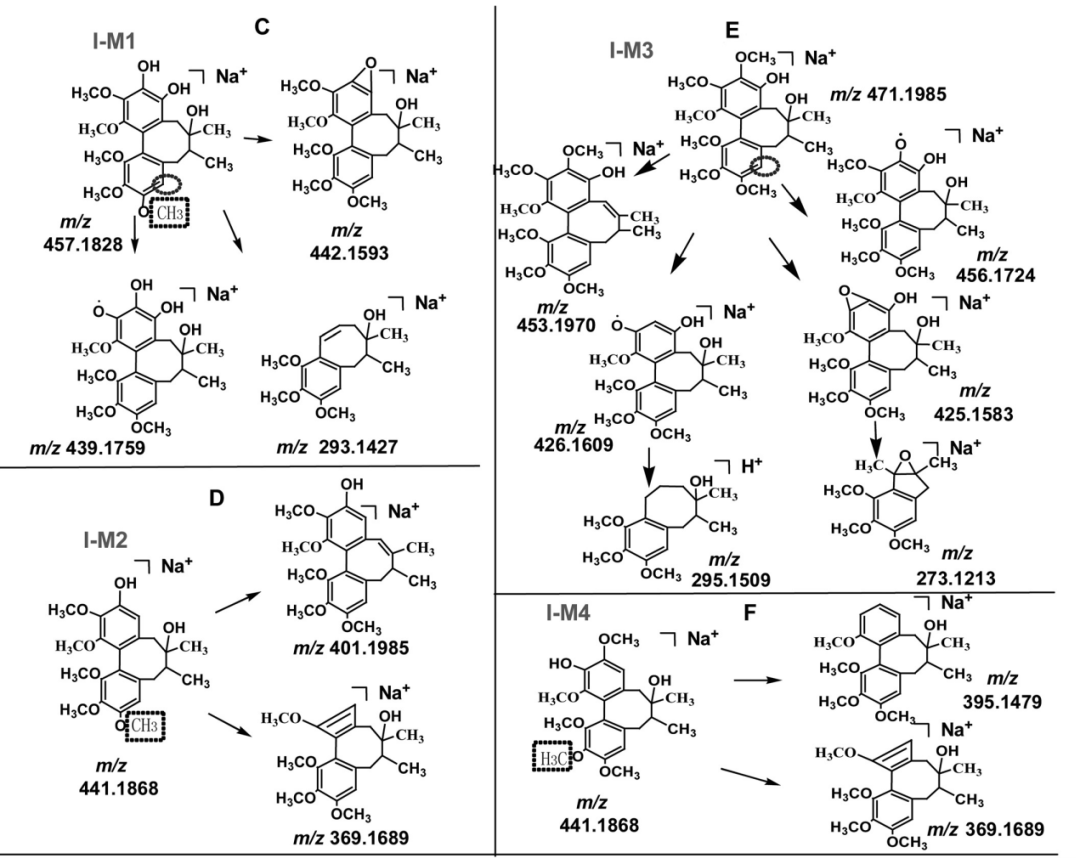 1621820081493586.png 7.png