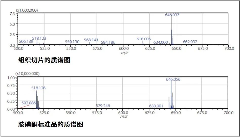 1622164679822279.jpg 5.jpg