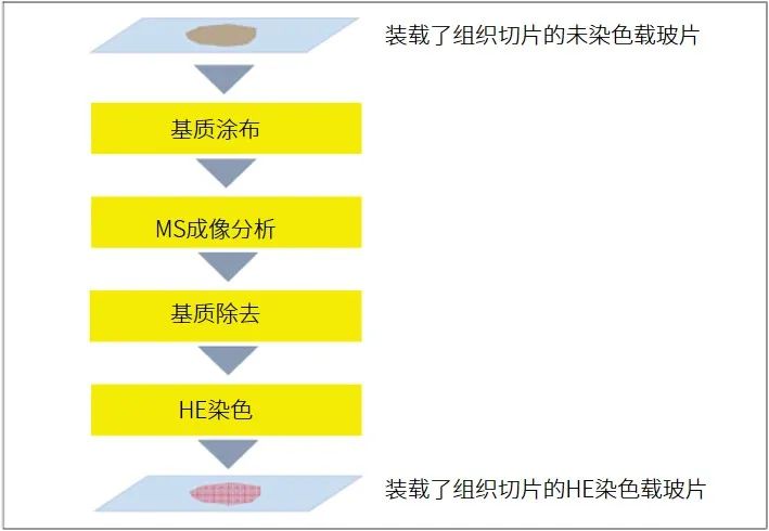 1622164787262805.jpg 9.jpg