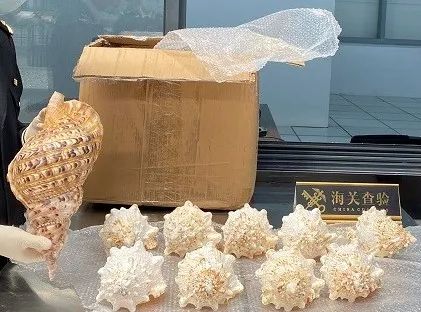 1623115371658457.jpg 1.jpg