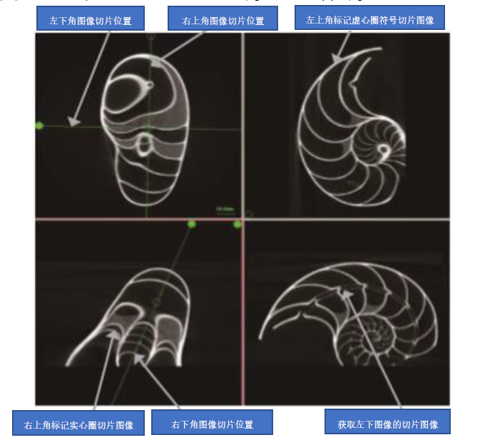 1623115475813019.png 5.png