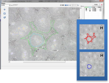 1624324061358420.png 4.png