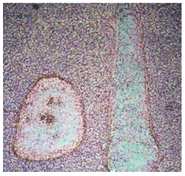 1624324108383474.png 7.png