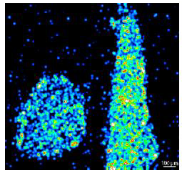 1624324115994162.png 8.png