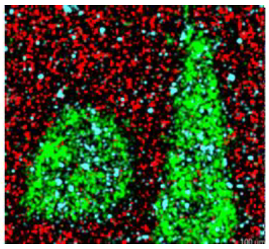 1624324125780422.png 9.png