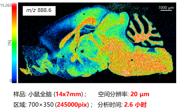 1624324171599789.png 11.png