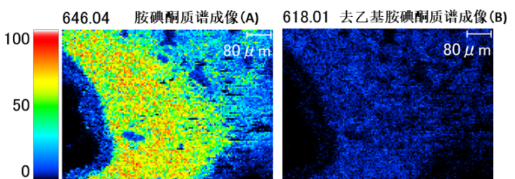 1624324229325770.png 13.png