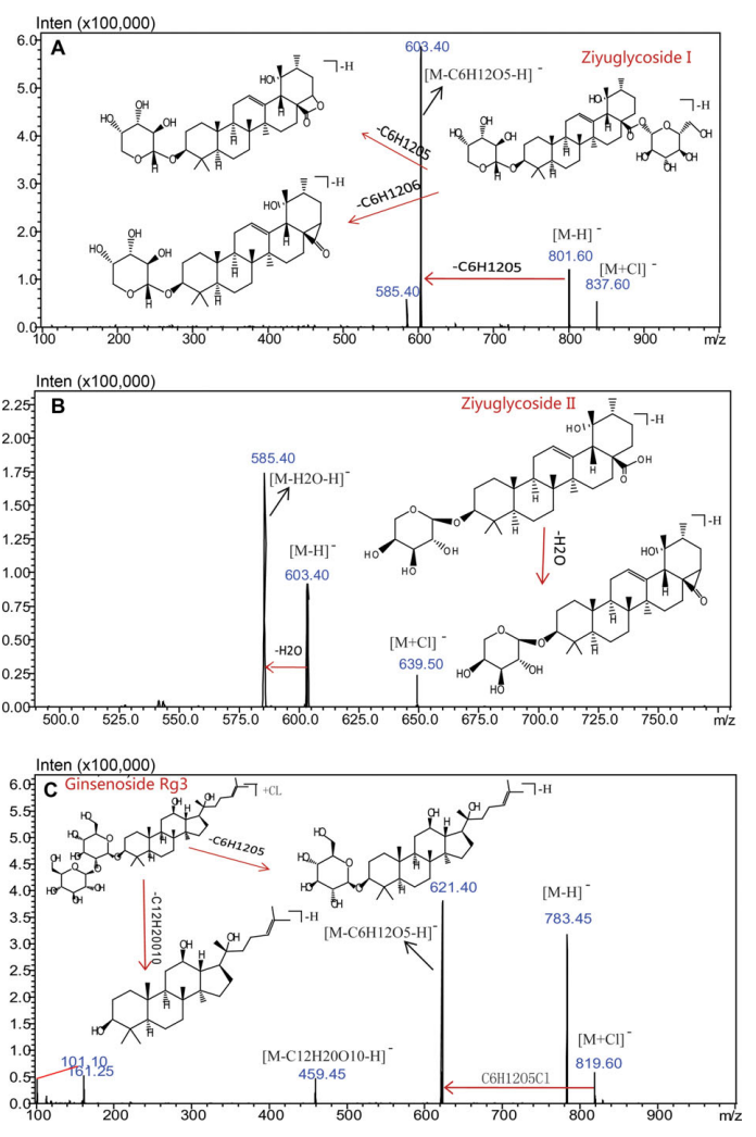 1624584825445692.png 5.png