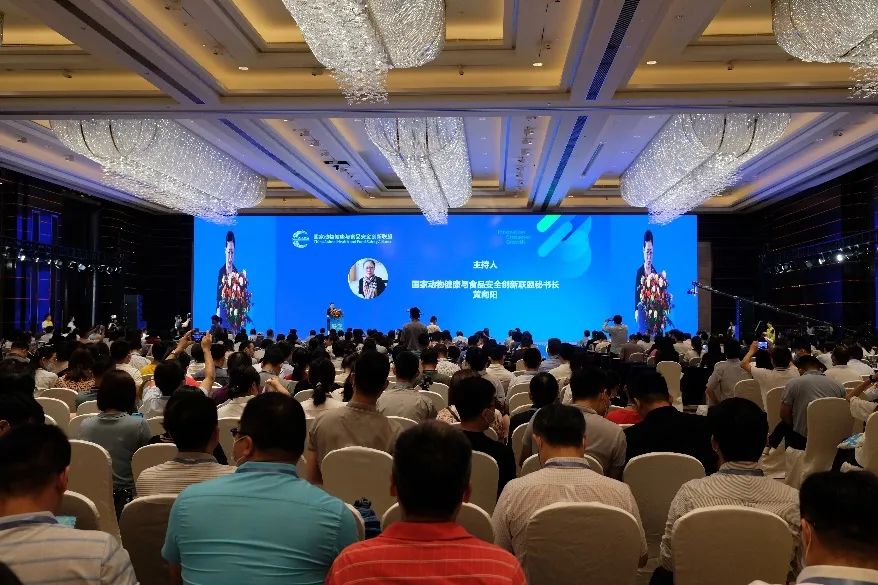 1626225444342445.jpg 1.jpg