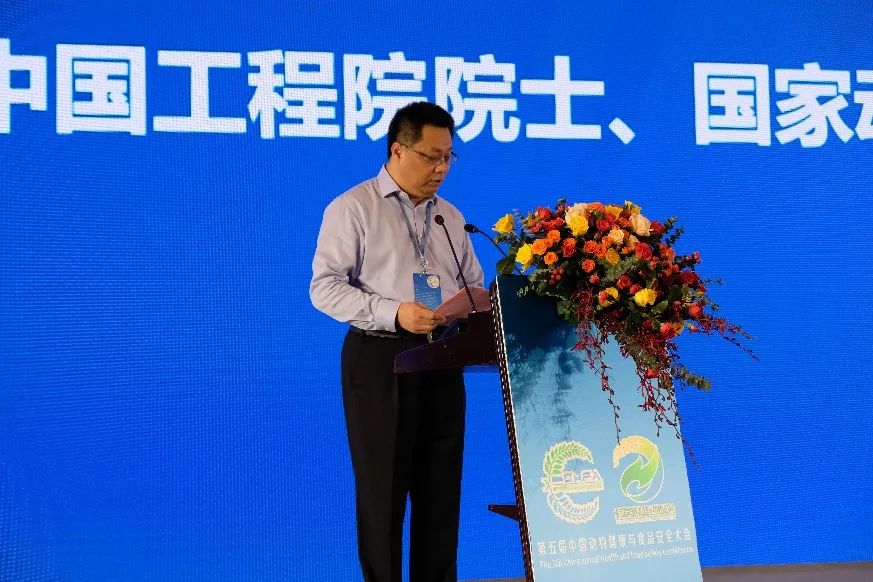 1626225506511663.jpg 4.jpg