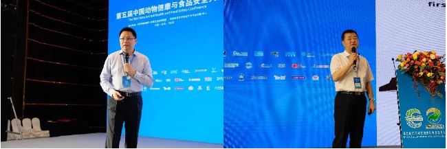 1626225590115741.jpg 8.JPG