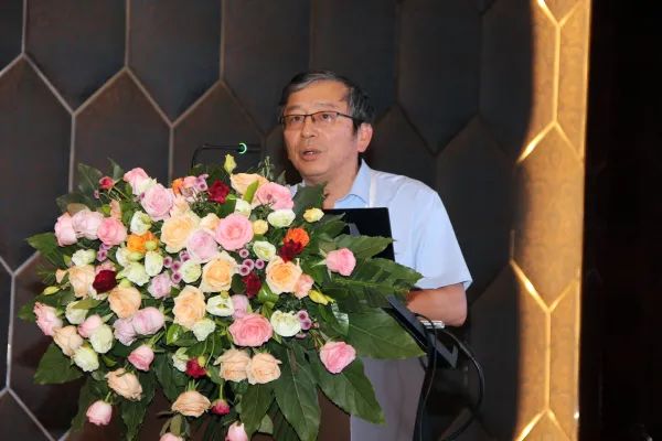 1626318649245952.jpg 10.jpg