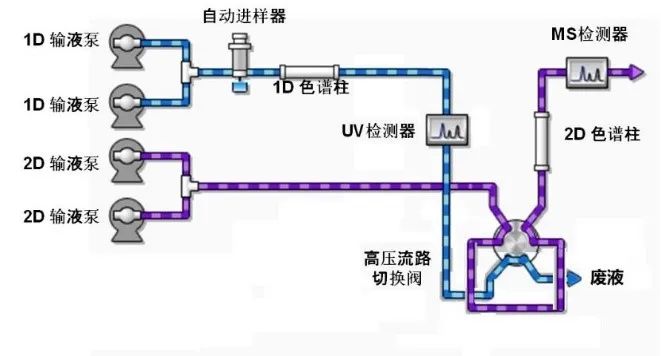 1626404807178685.jpg 2.jpg