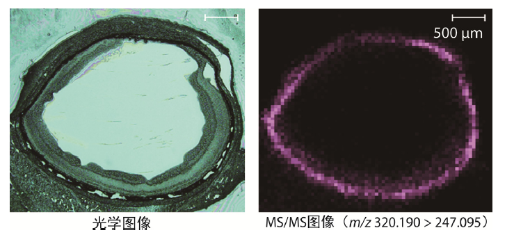 1630028157625742.png 10.png