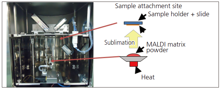 1630028173237955.png 11.png