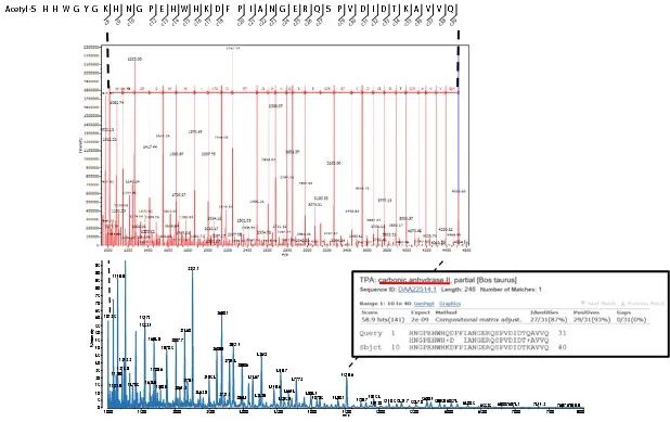 1630286146780395.jpg 4.jpg