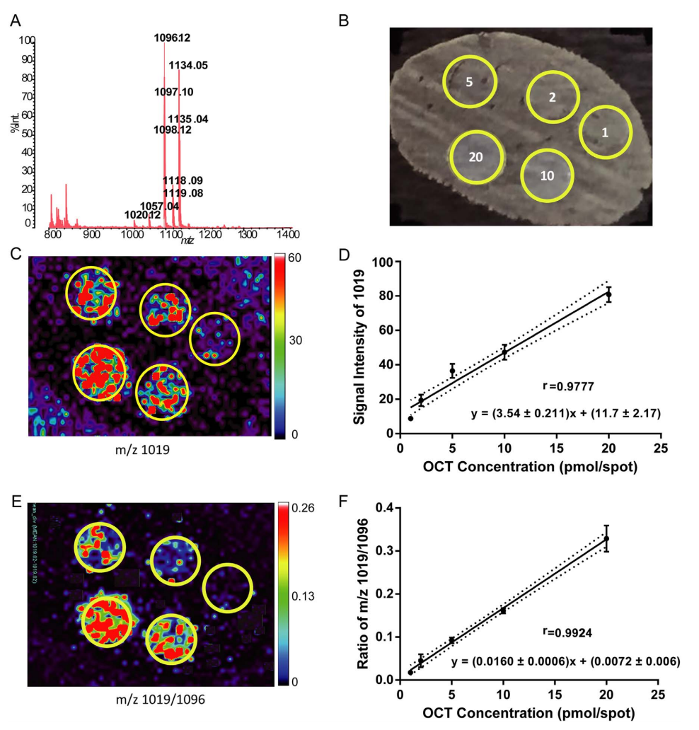 1630544113917604.png 6.png