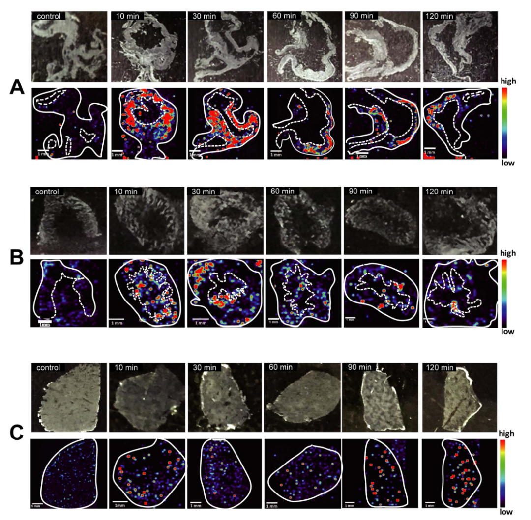 1630544138968583.png 7.png