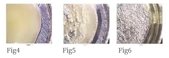 1634525337767544.png 7.png