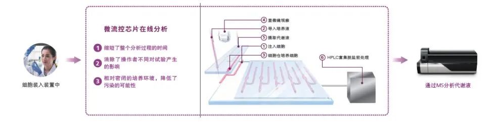 1635229993483711.jpg 3.jpg