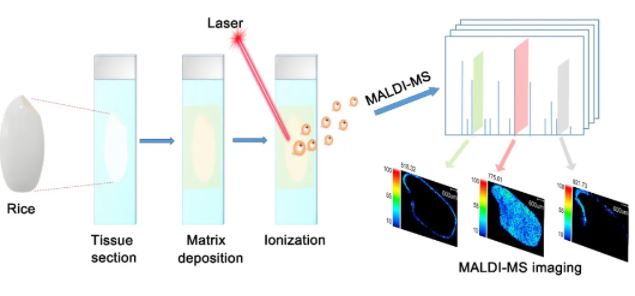 1635386835767164.jpg 2.JPG