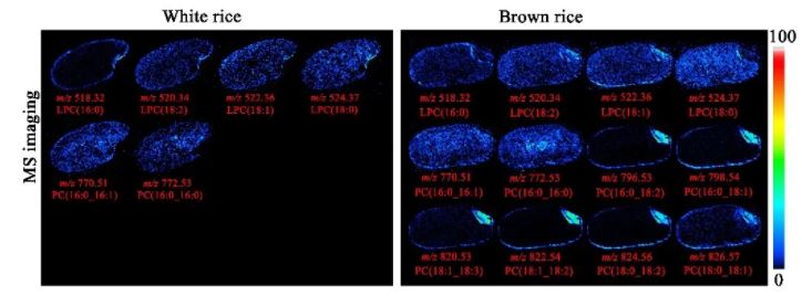 1635386906488673.jpg 5.JPG