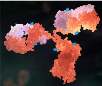 1635387014101550.jpg 1.JPG