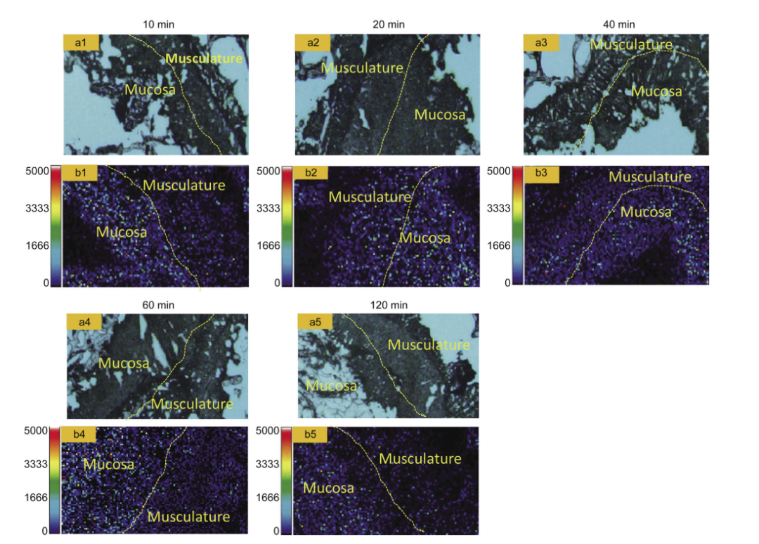 1635733555977630.png 6.png