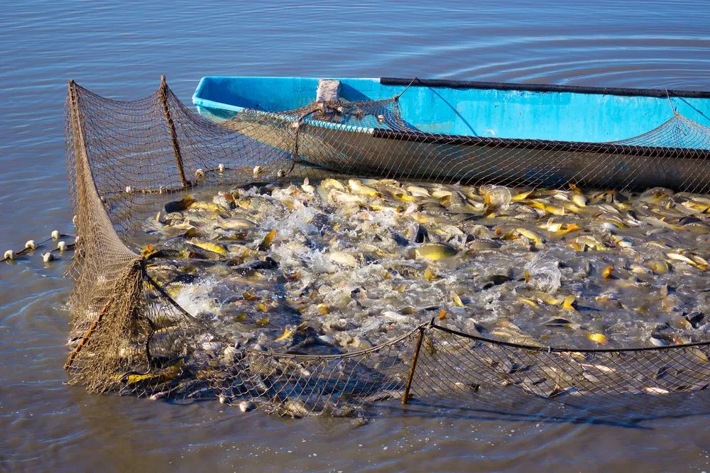 1635733654856739.jpg 1.jpg