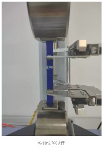 1635916324366813.jpg 6.JPG