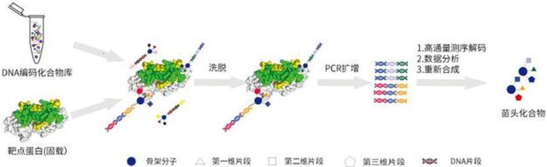 1637027508679429.png 2.png