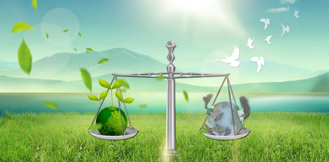 1637635225179771.jpg 1.jpg