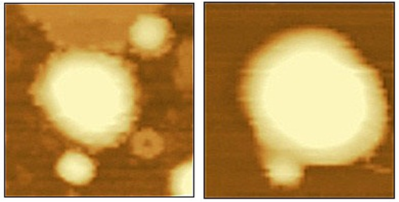 1639017361600359.png 7.png