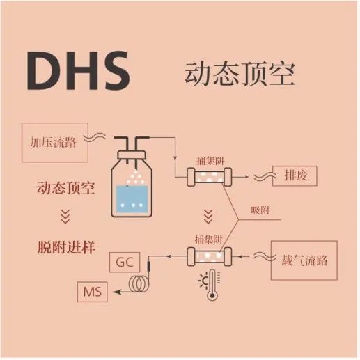 1639534770353590.jpg 5.jpg