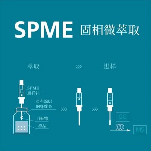 1639535157322176.jpg 8.jpg