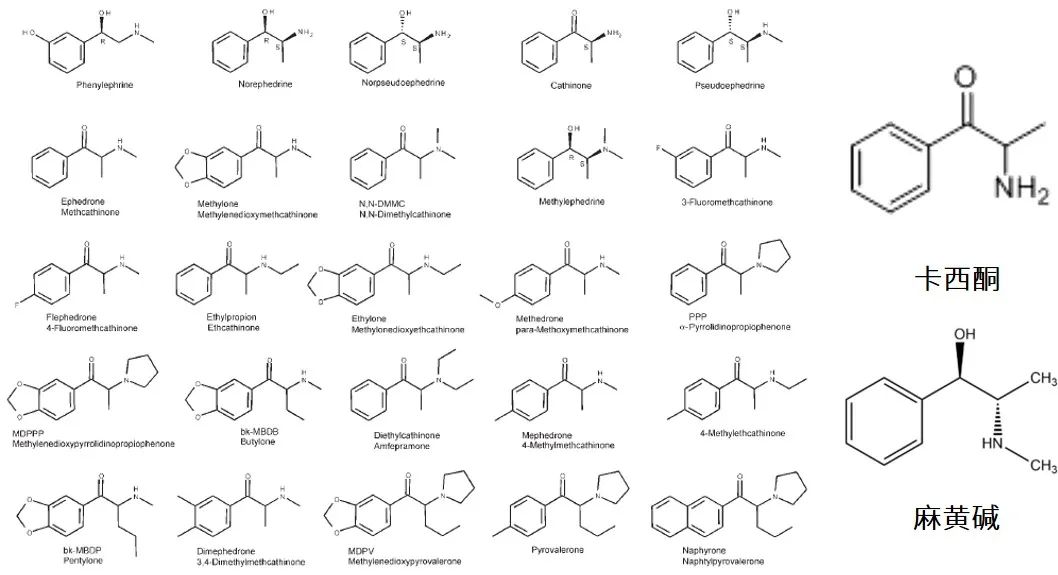 1640140475156498.jpg 14.jpg