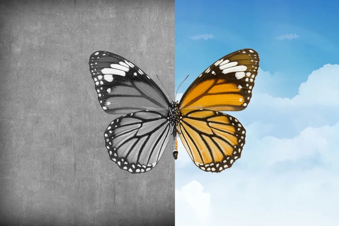 1640569300637131.jpg 1.jpg