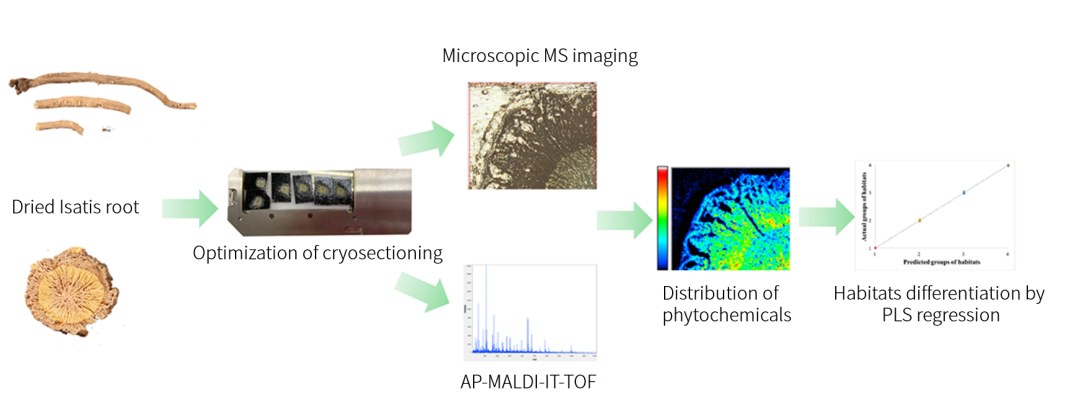 1640653935865309.png 2.png