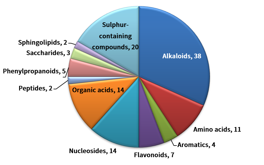 1640653959849384.png 3.png