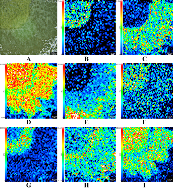 1640653978186772.png 4.png