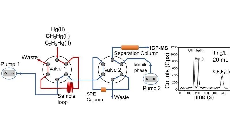 1641520244514723.jpg 2.jpg