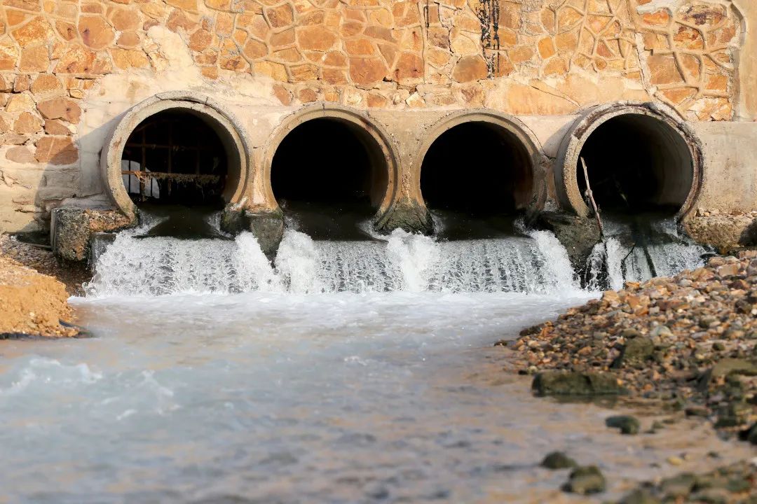 1641887633884732.jpg 1.jpg